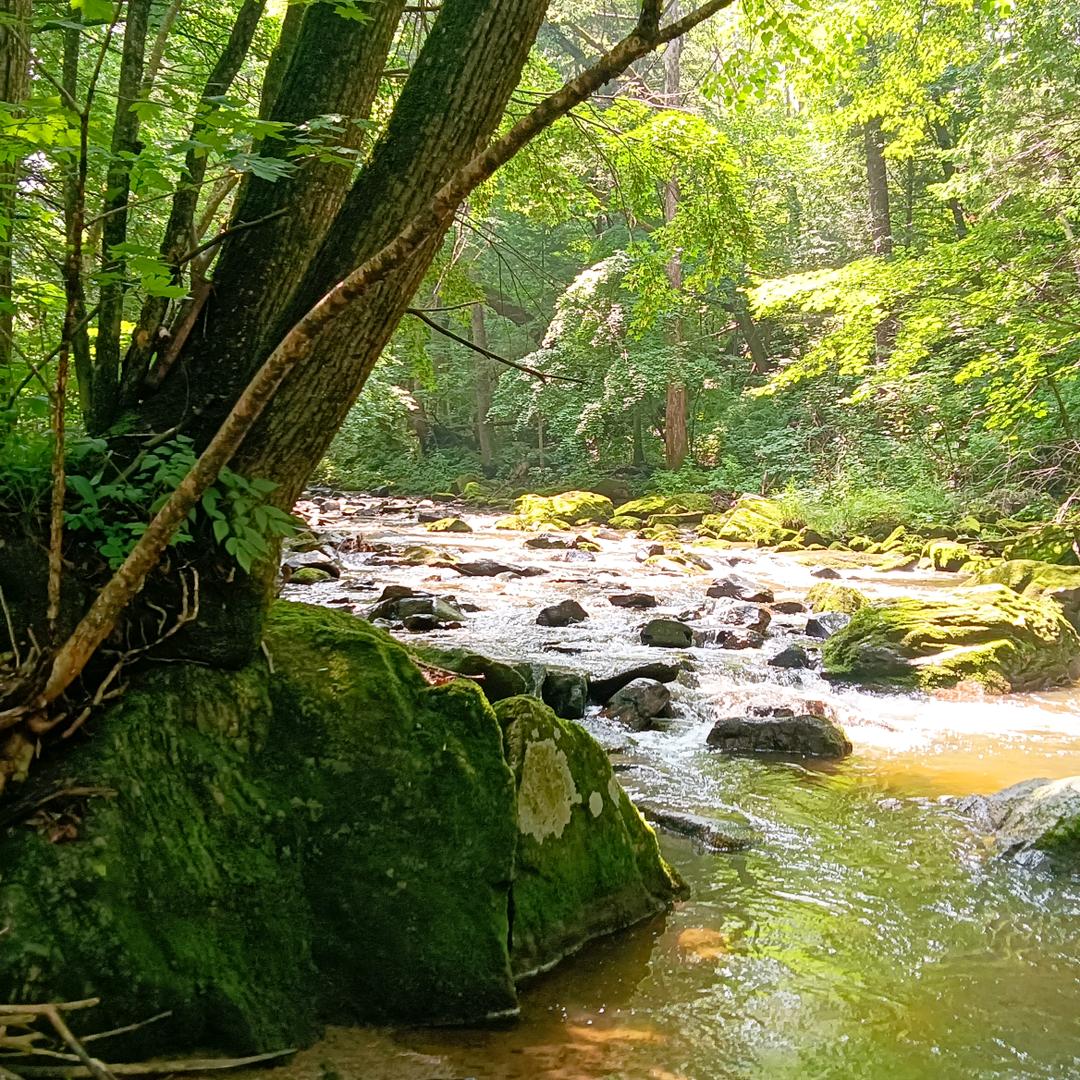 深山溪流