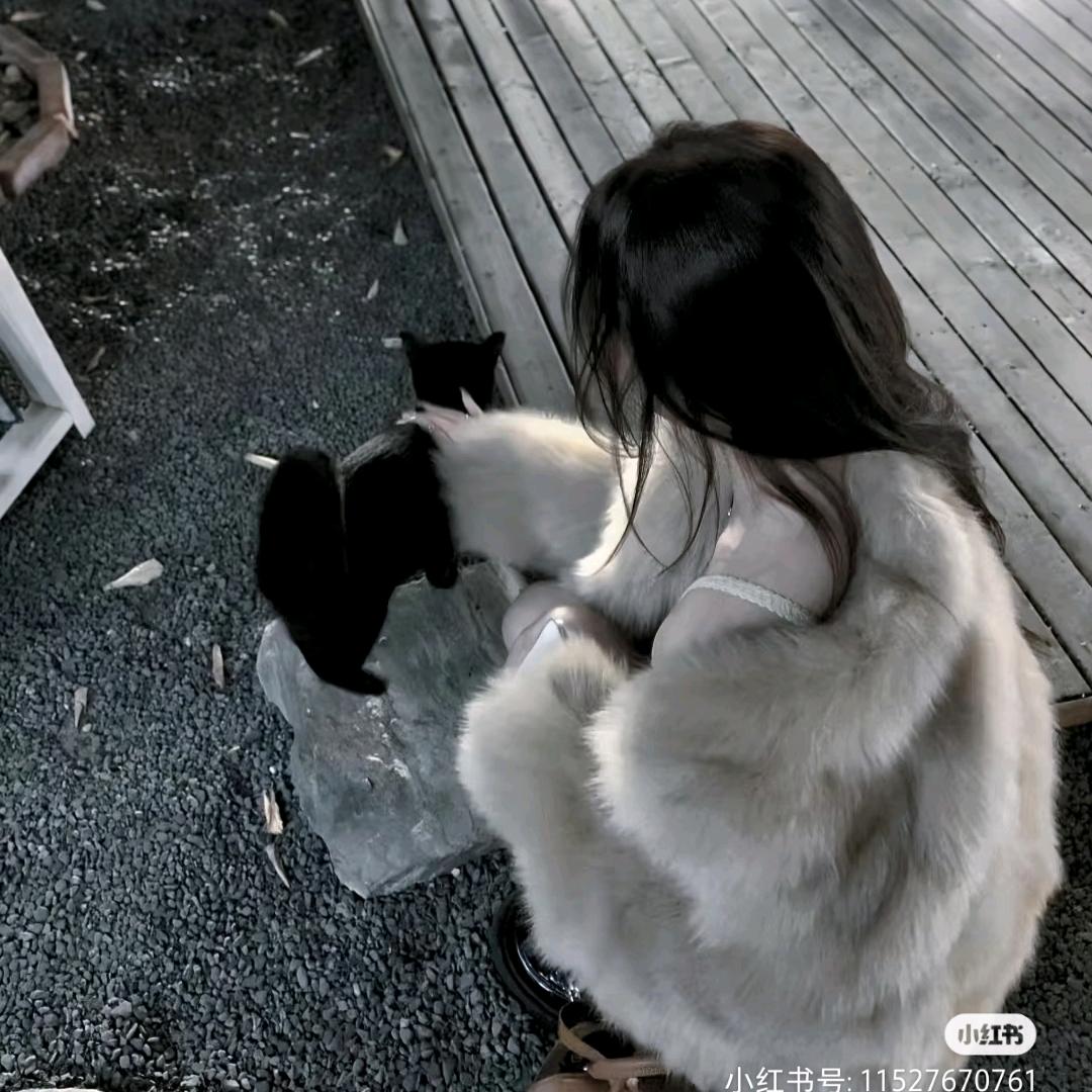 ʚ十一ɞ