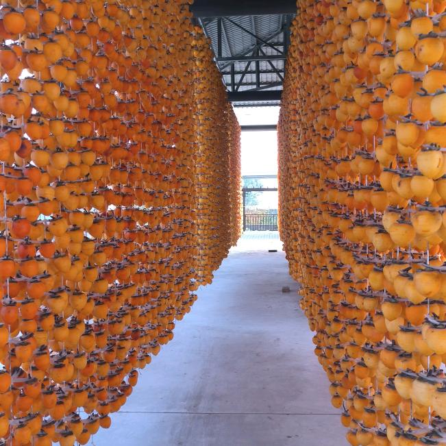 帮家里卖柿饼的小张