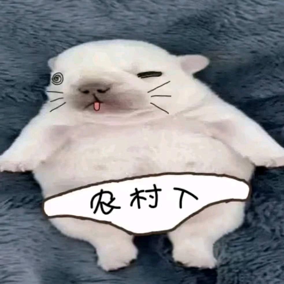 男高中生的梦