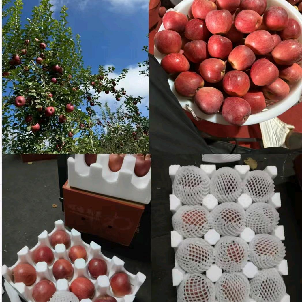 @昭通小张甄选🍎