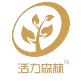 艾视头疗
