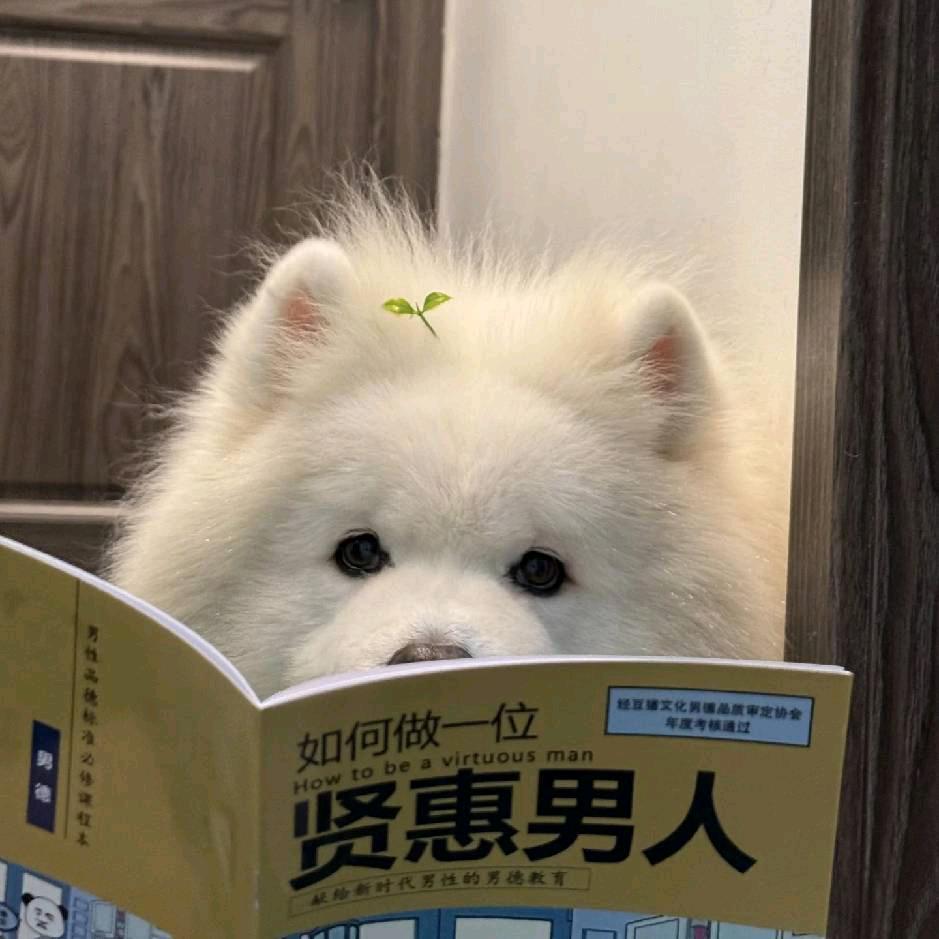 小小越