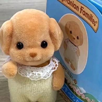 小狗十三🥕（草莓软糖版）