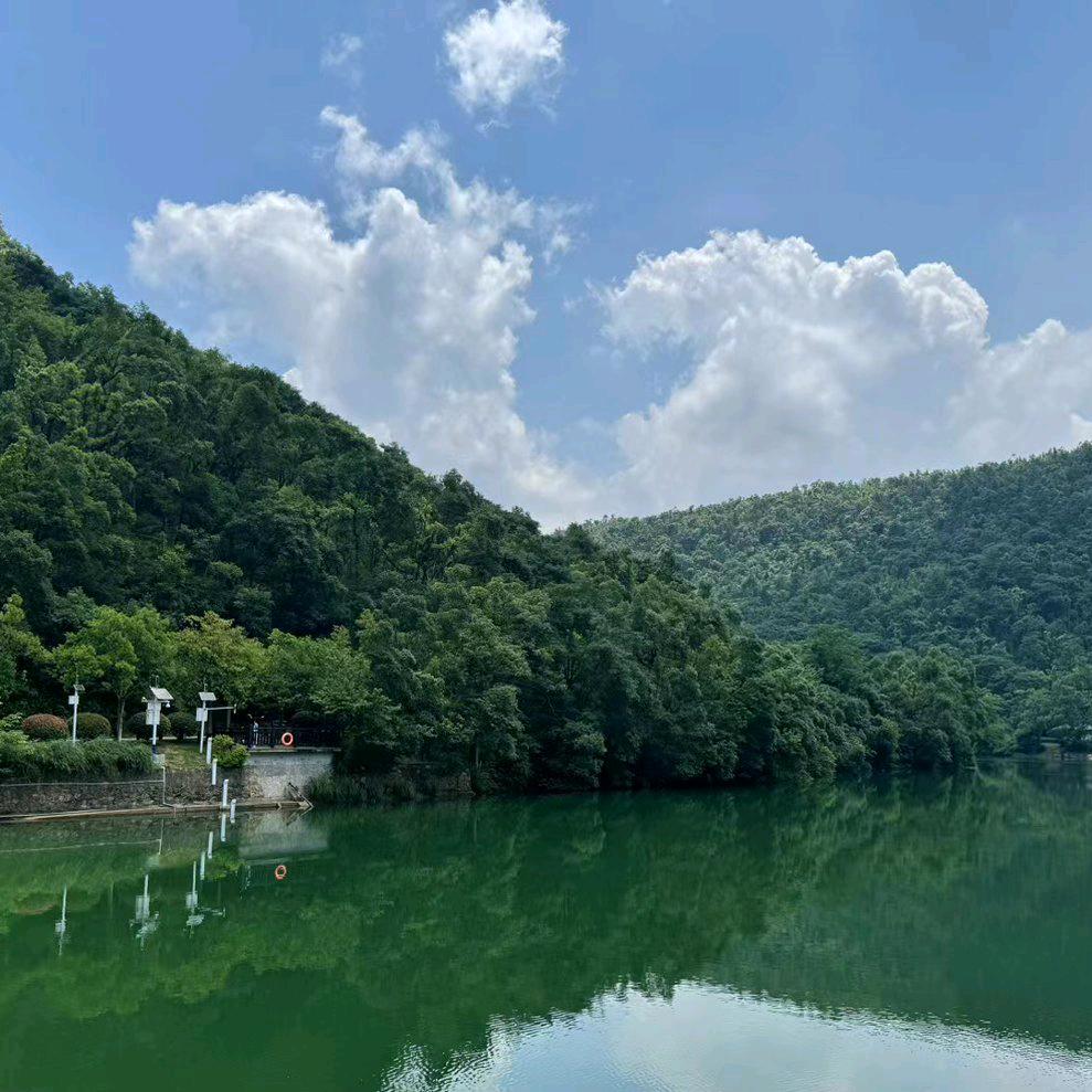 寿司里面卷鲸鱼🐳