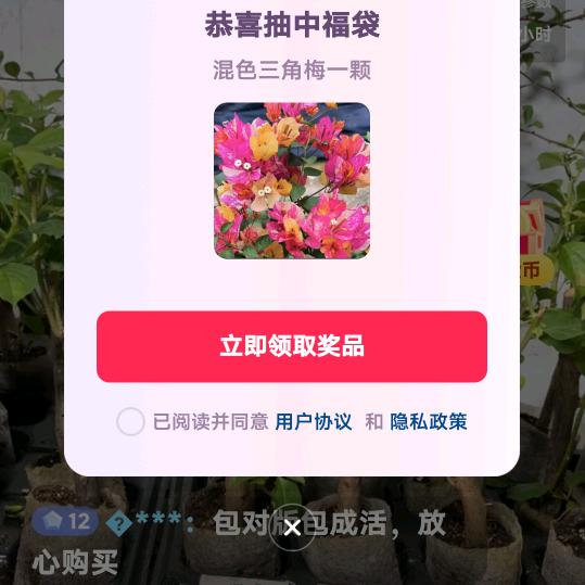 西红柿炒番茄