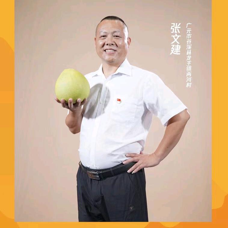 广元张支书（张文建）