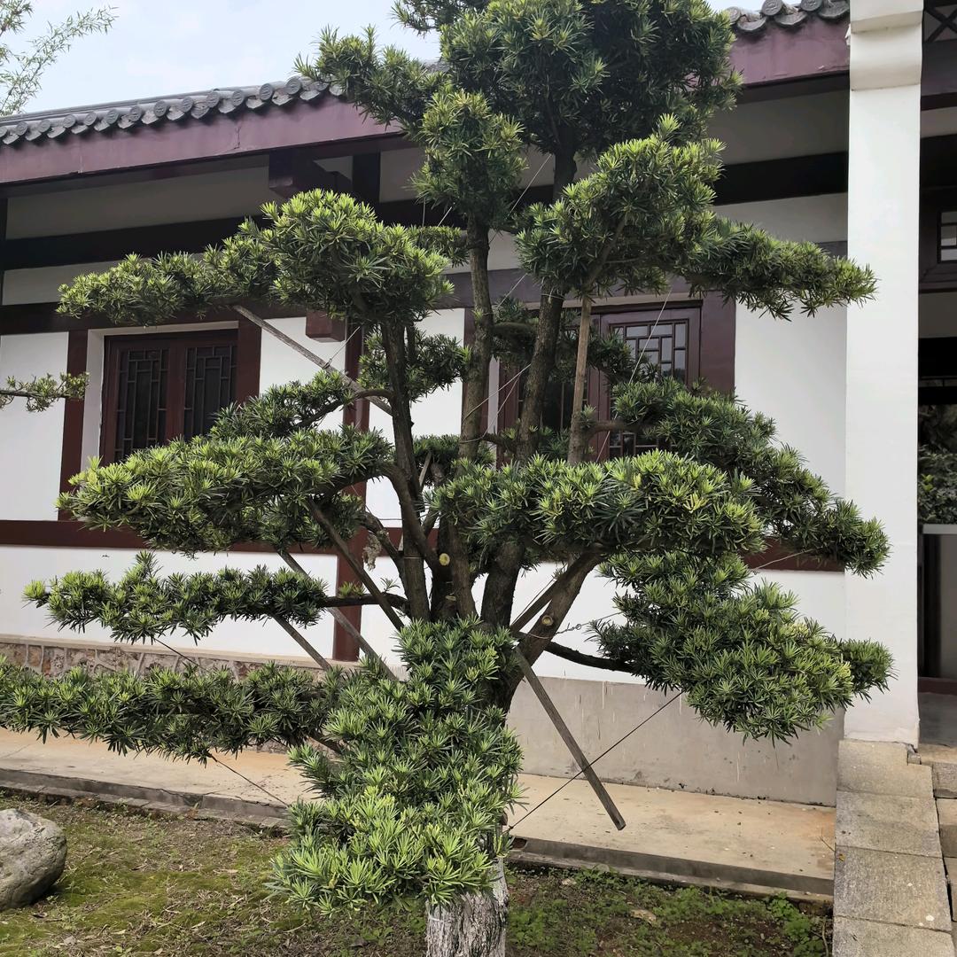 啊亮二手农机