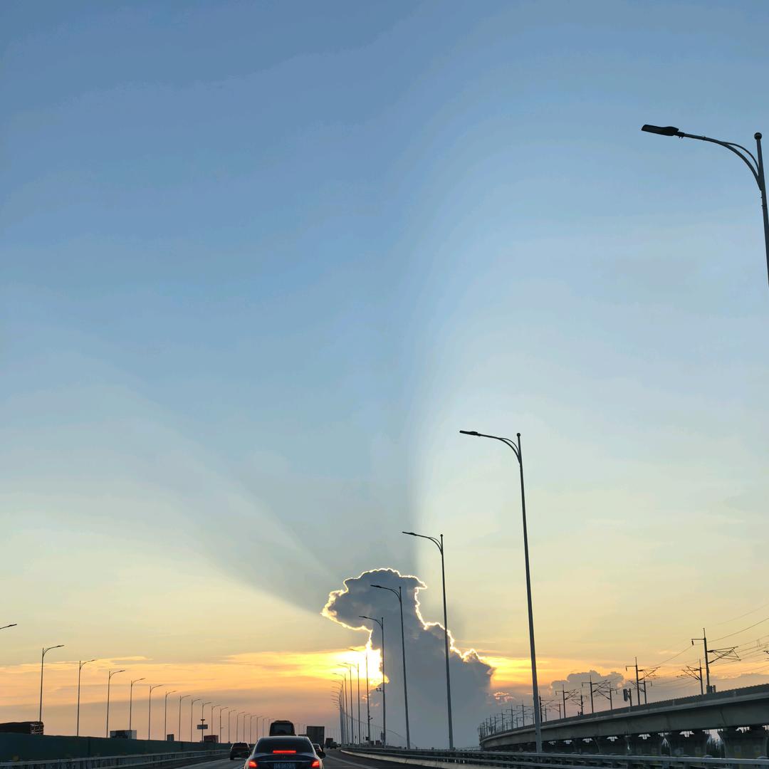 摆烂小杜