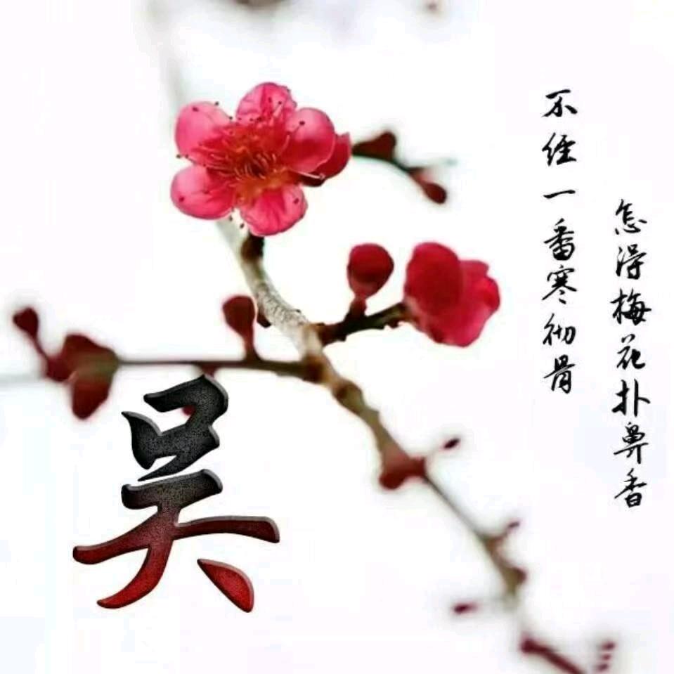 无所谓
