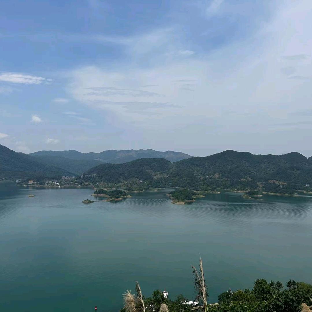 哇哇哇