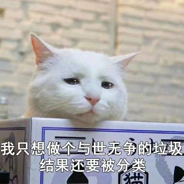 可聿