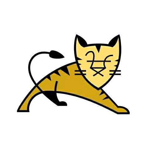 tomcat高手