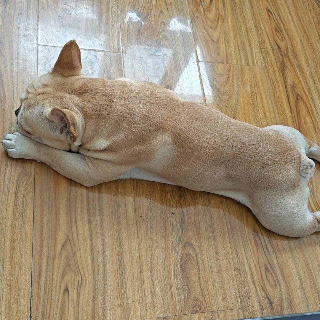 夜落