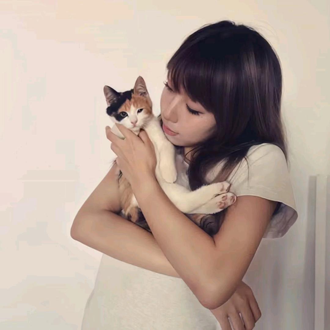 晚是没有安.