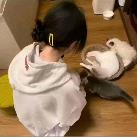 我想睡觉