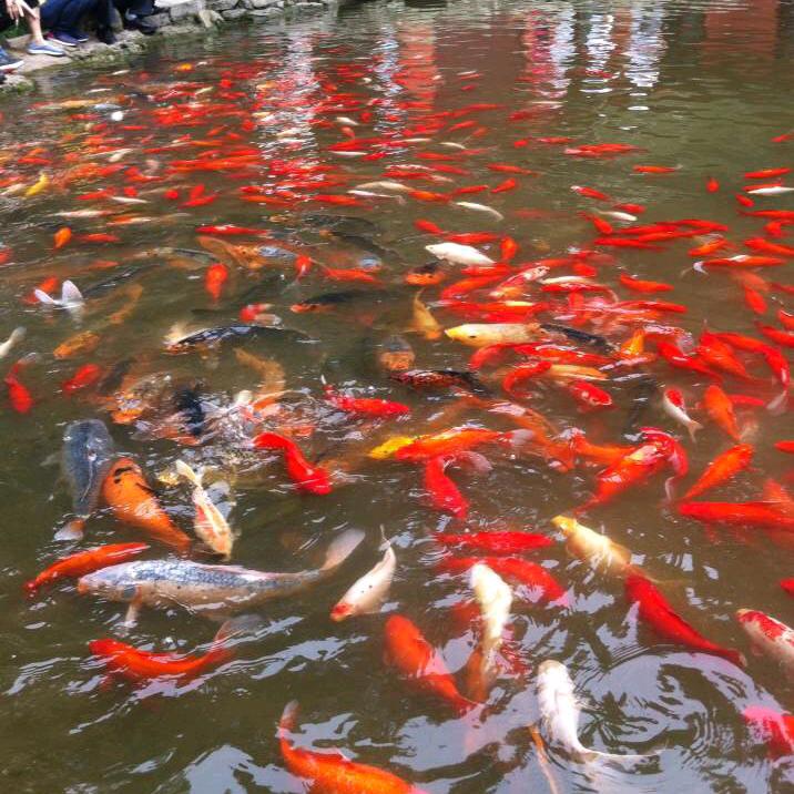 蓝天之下