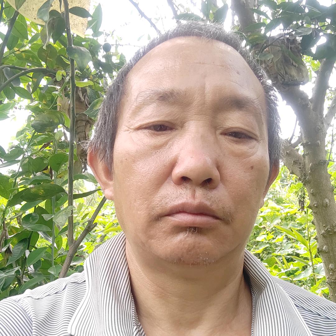 老曾