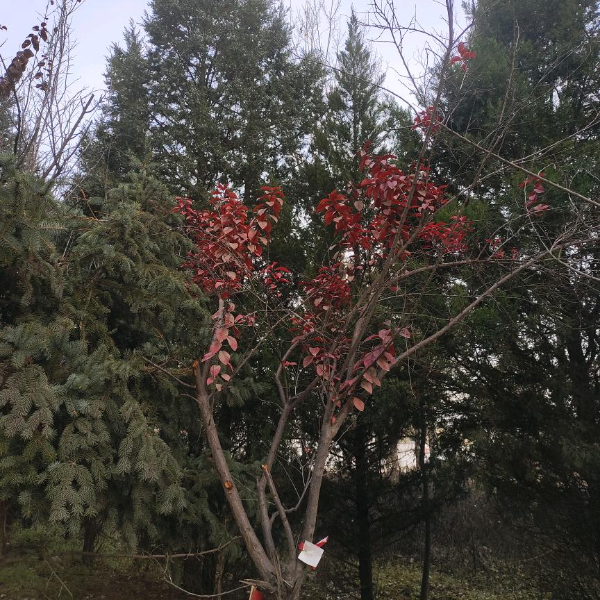 开心快乐每一天