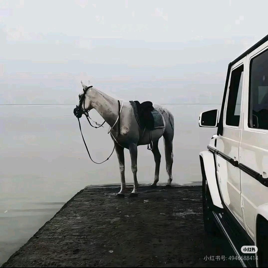 商喜