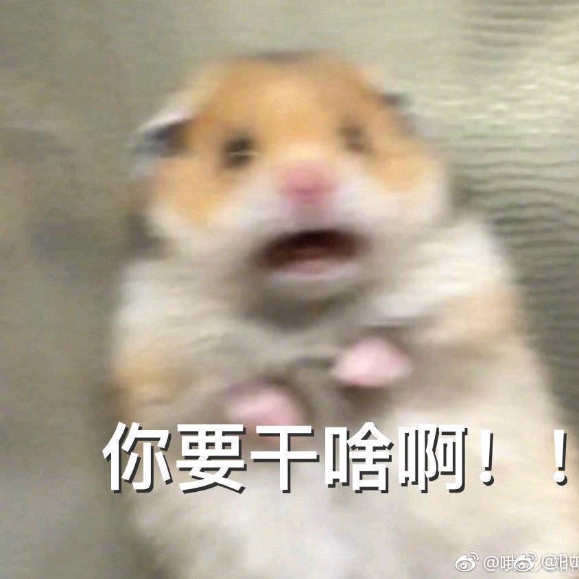 意特