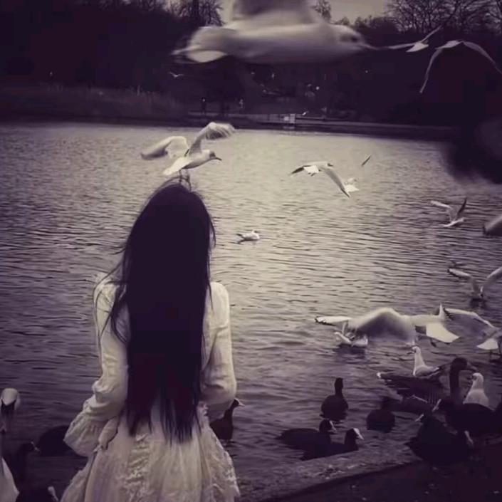 玫瑰会过期ᵐᵃ