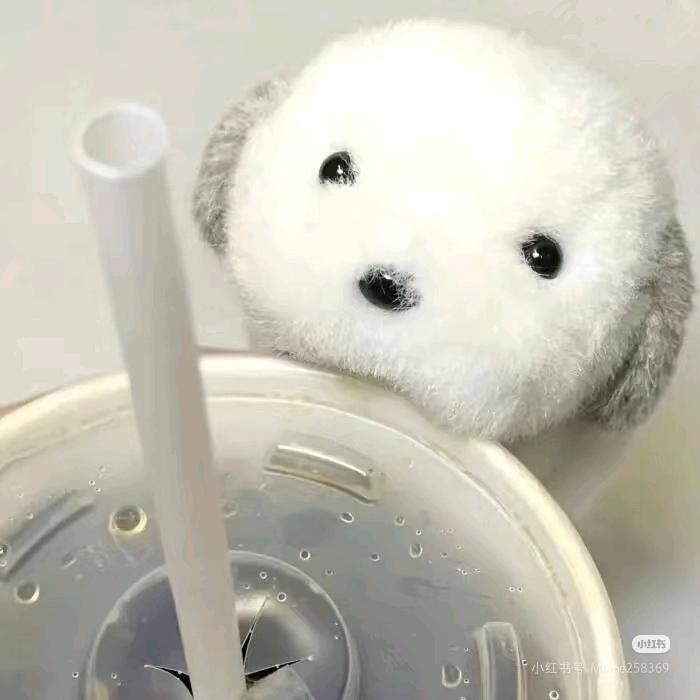 赠晚风