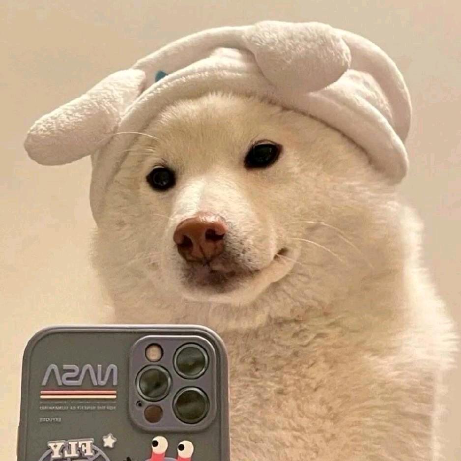 起舞弄清影……