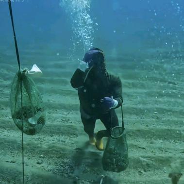 海底捕捞猎手
