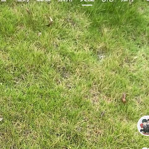 小婷精选商贸