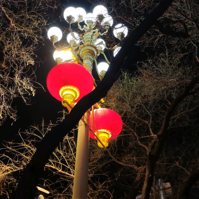 倾一座城、淡一场梦