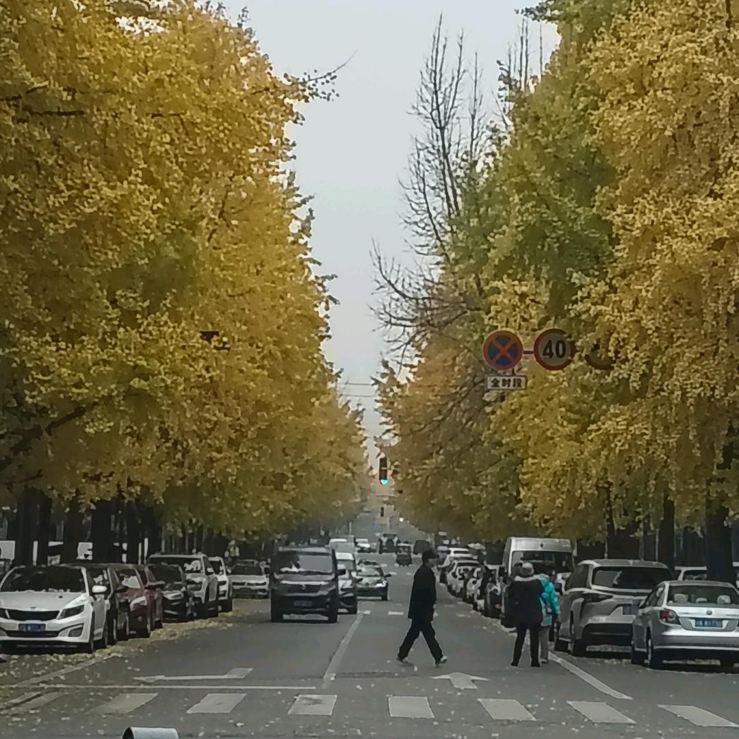 清风十月