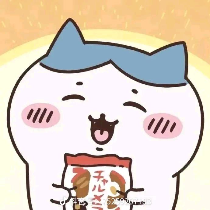 胖胖日记🧊
