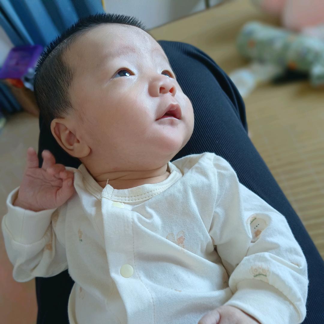 皮皮钧