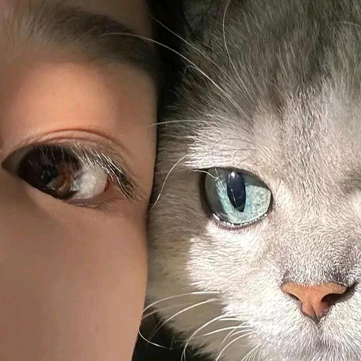 阿铠