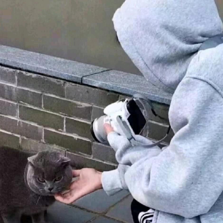 咳咳。