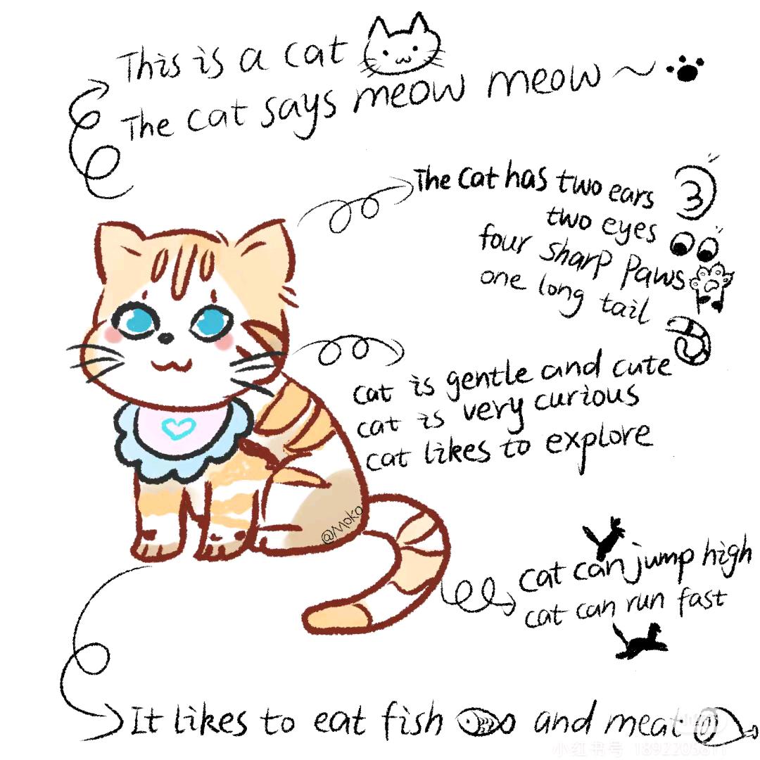 English_Meow