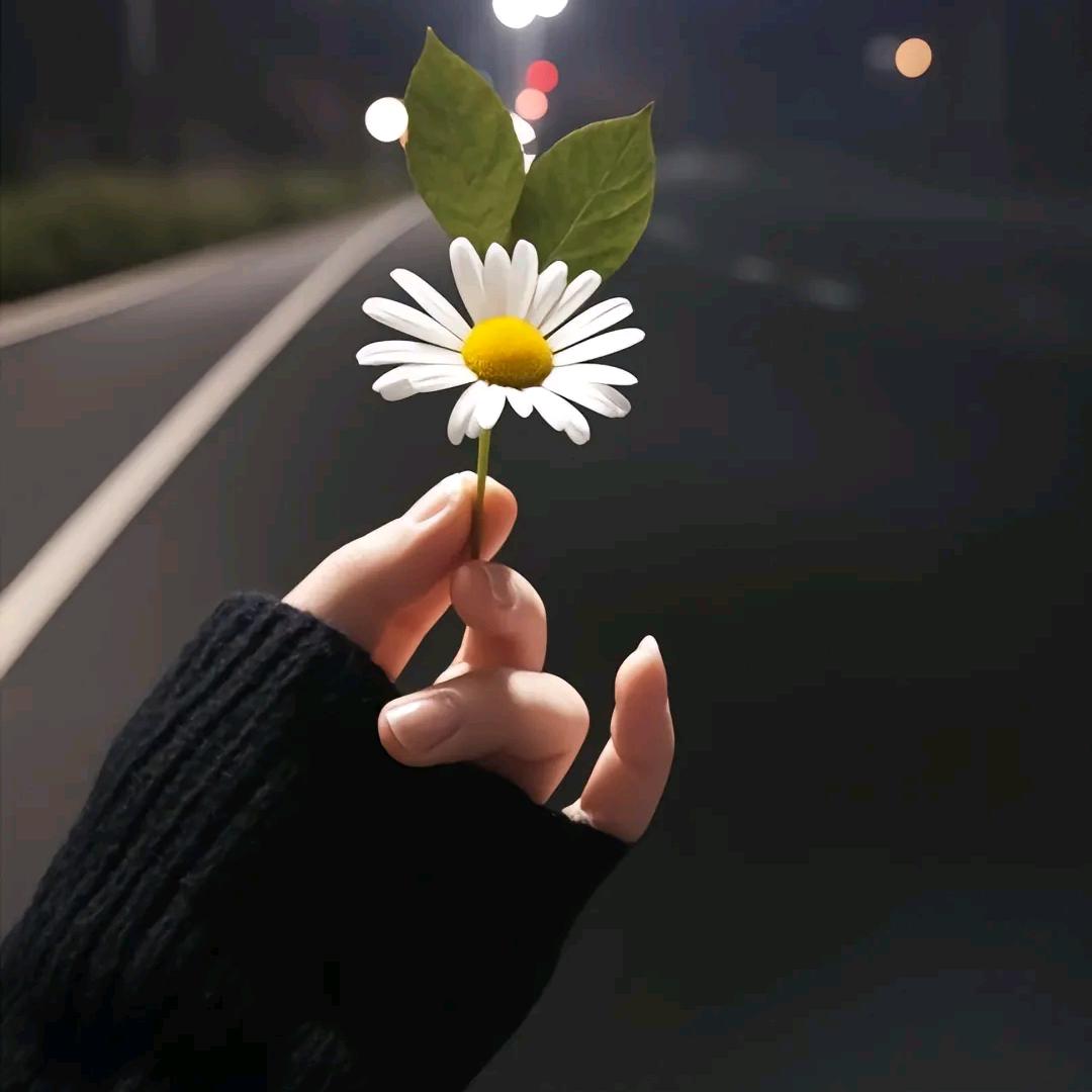 Dān❤