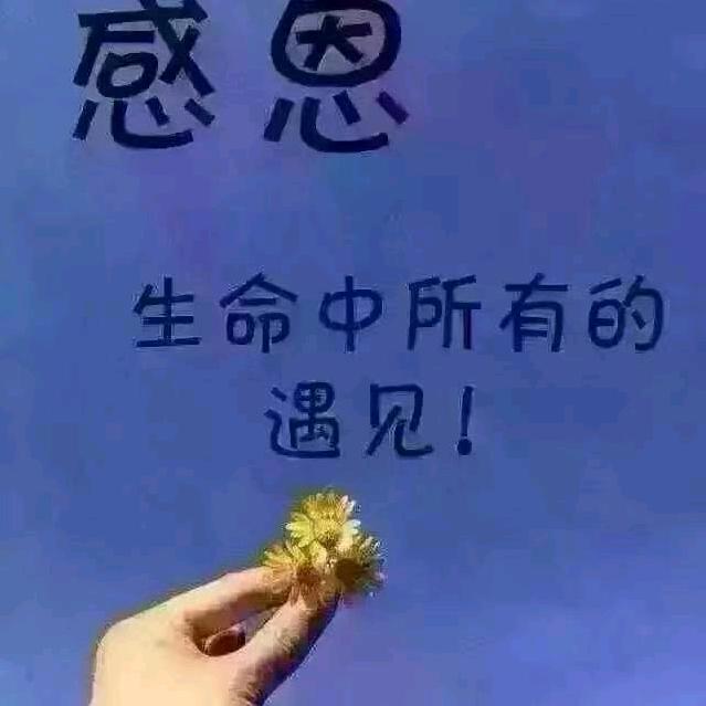 诗恩芮服饰印花