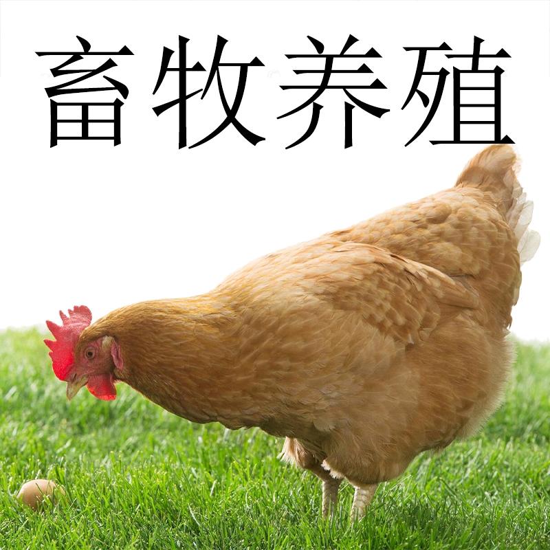 山南畜牧养殖