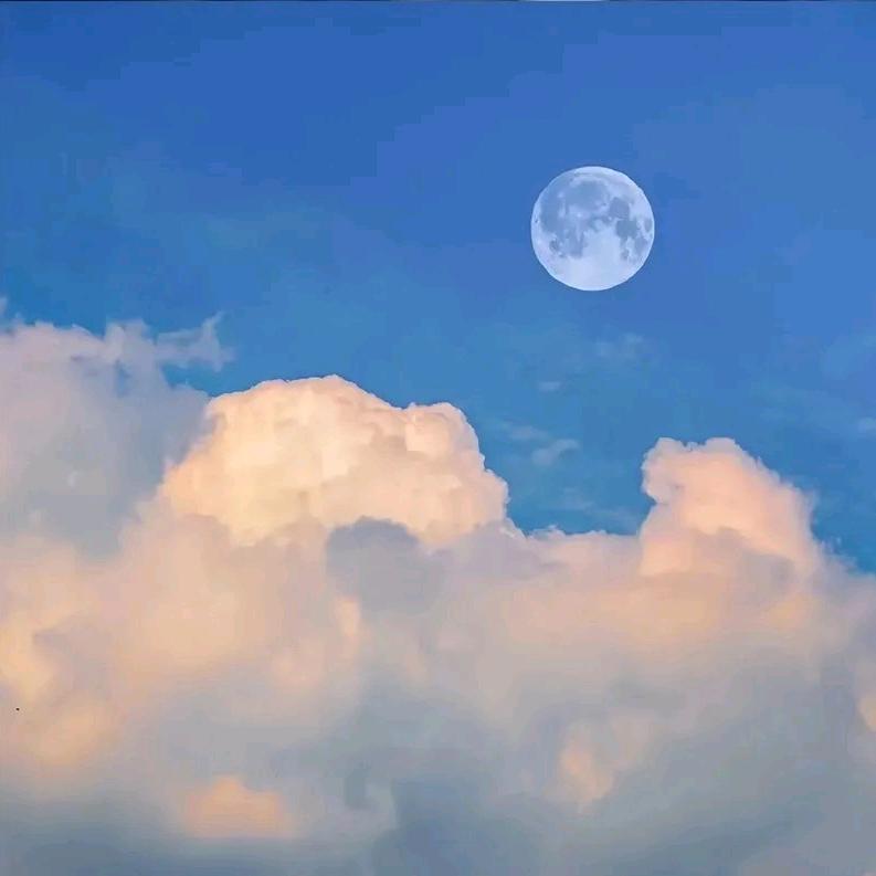 饭演带哄西巴2号