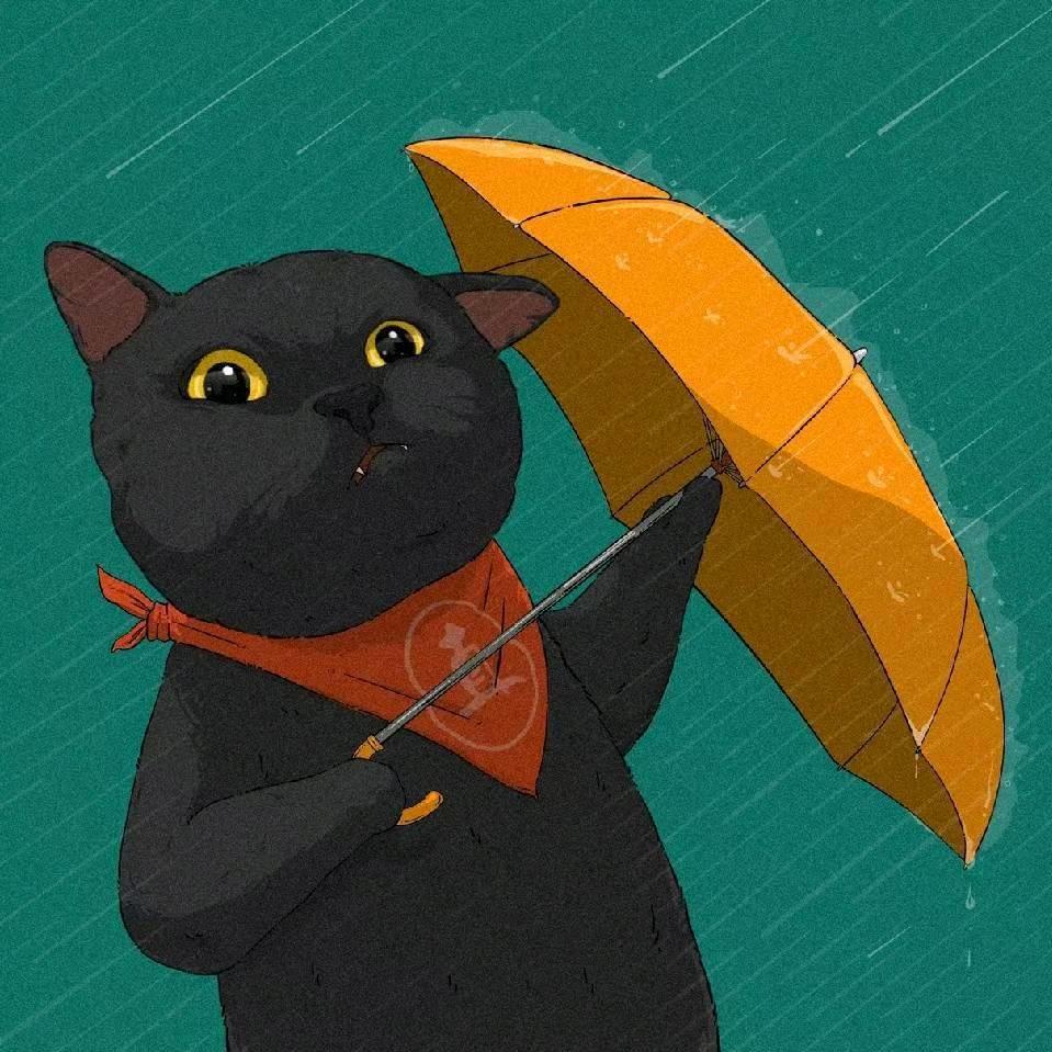 阿木木（战略版）