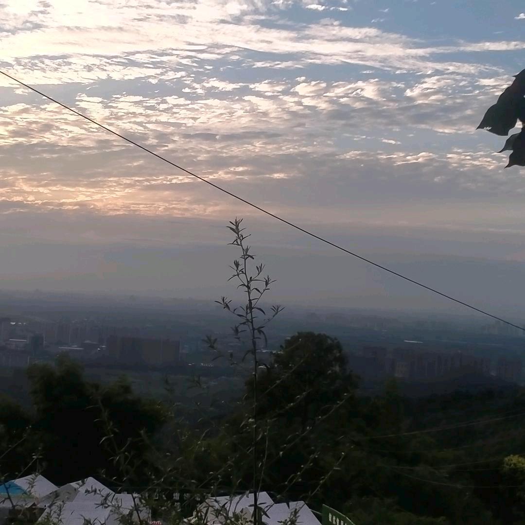 90后小牛拆个墙