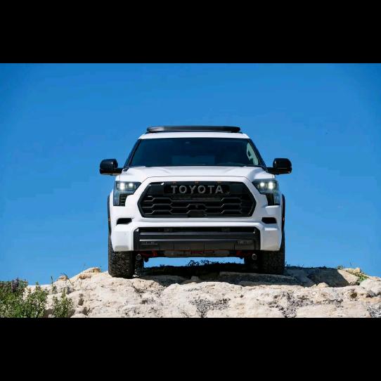 🌻向日葵🌻温室大棚施工承建