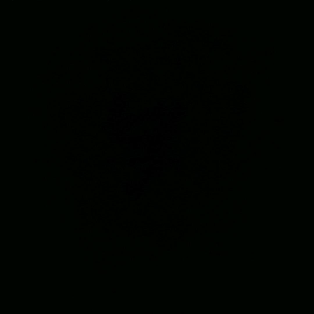 《黑鹰》摩尔根上将