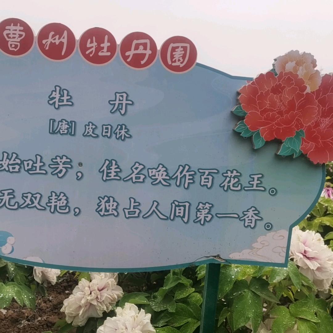 缘分
