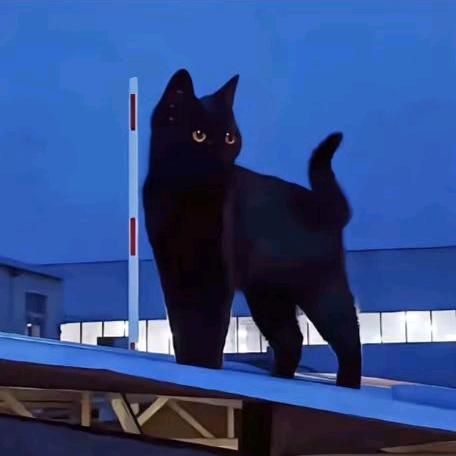 兔子爱吃小龙虾