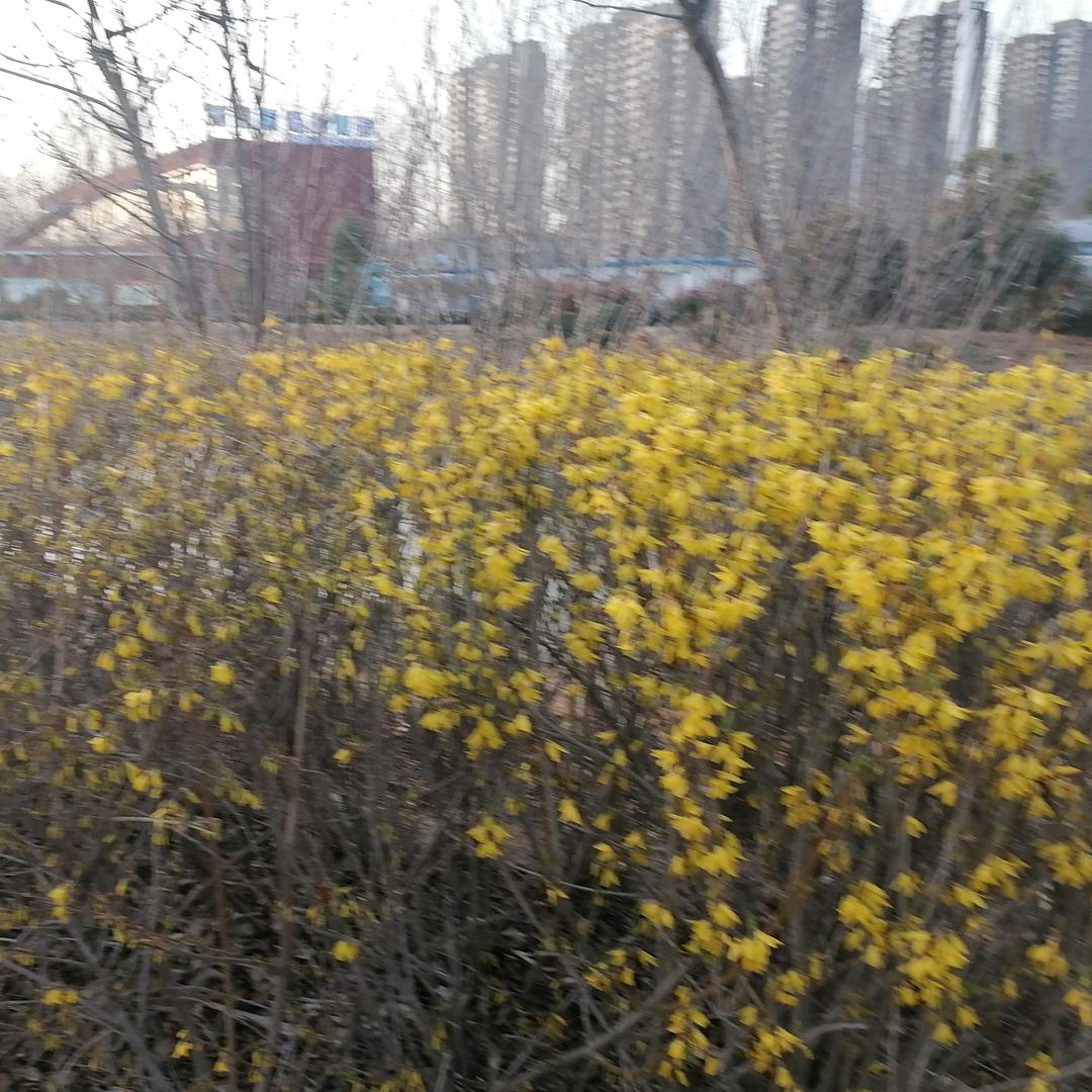 80 后宝妈