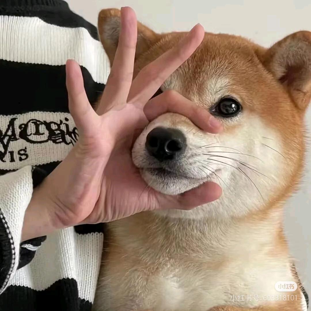 阿金不精