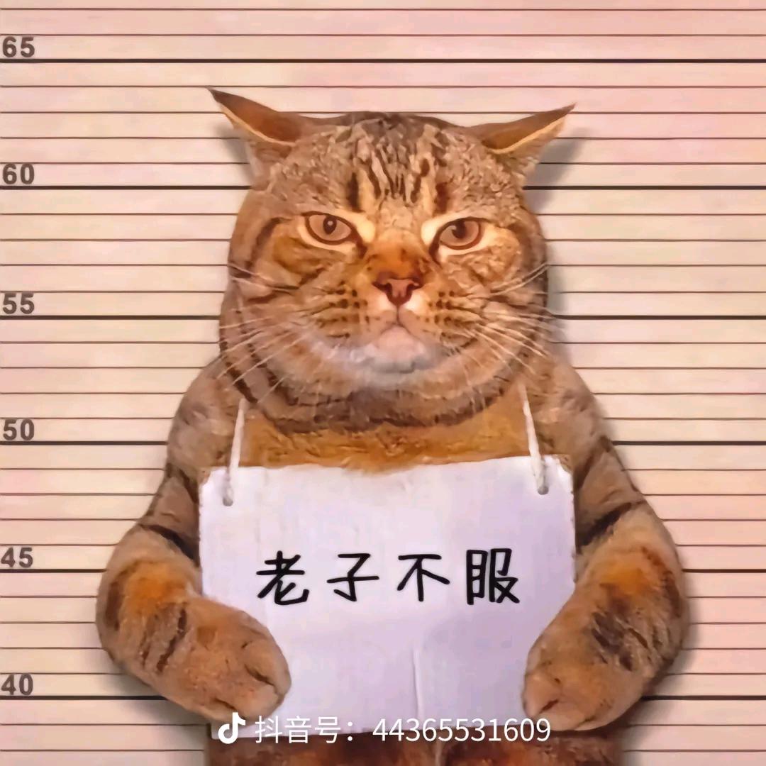 蘇淋哈